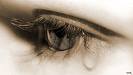 Love Lost